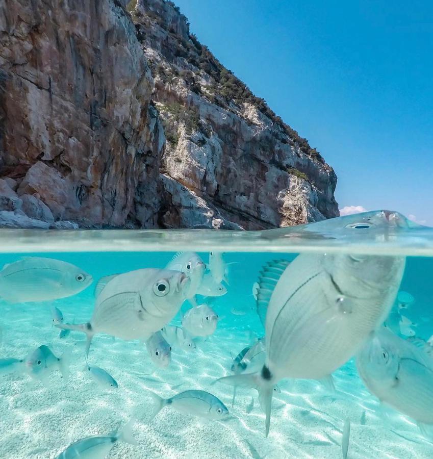 Cala Gonone, Casa I Pini Lägenhet Exteriör bild